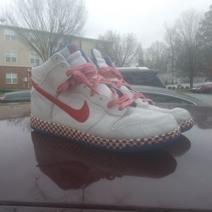 Nike Dunk Zoom Edition